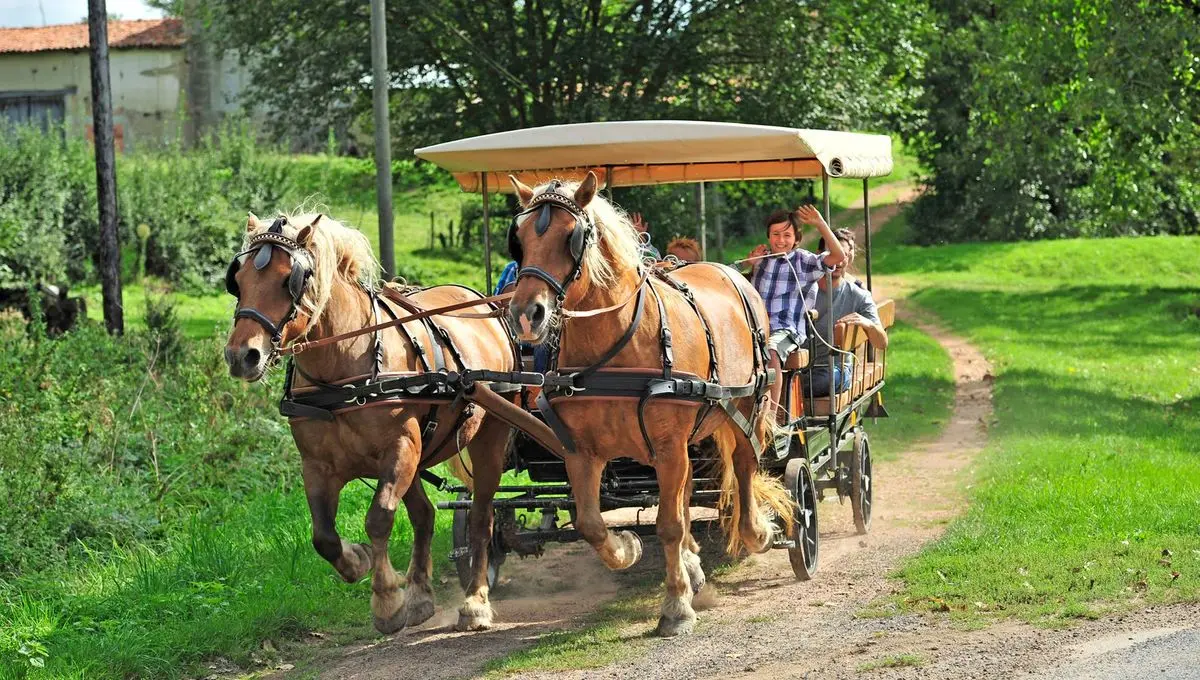 Ferme du Pré Fleuri balades